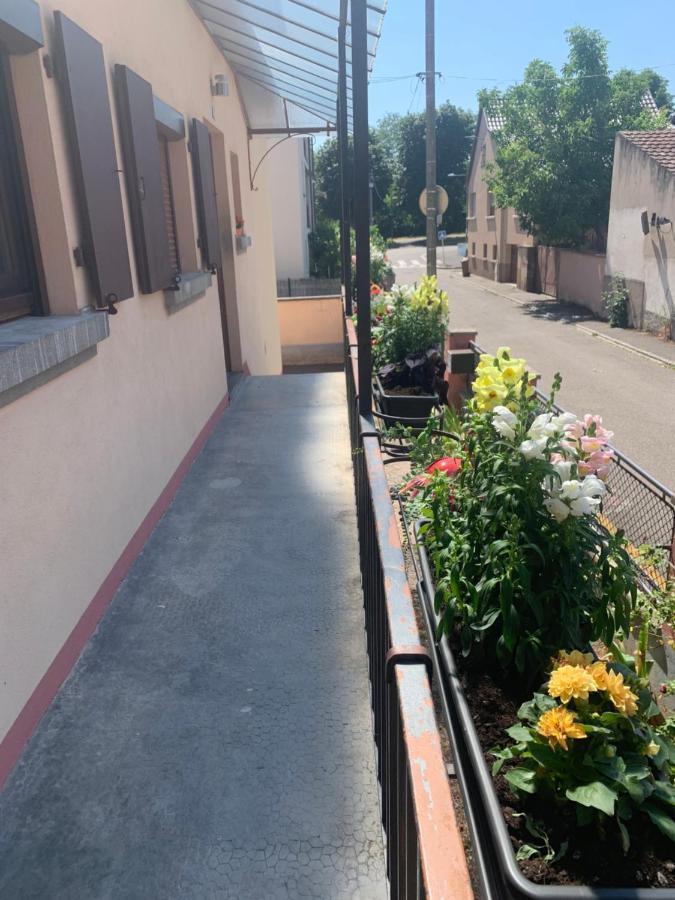 فيلا Chez Georges Et Rosa إينغرسهايم المظهر الخارجي الصورة